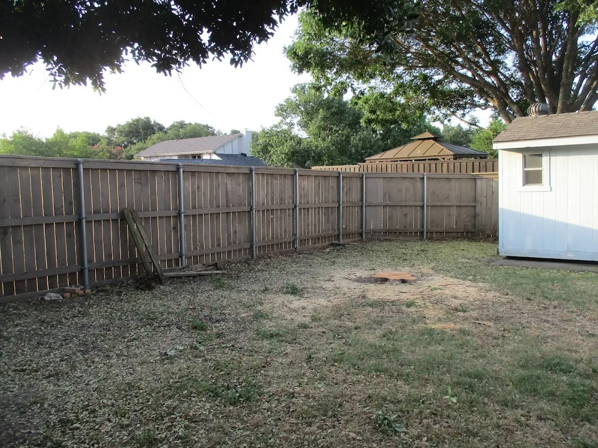 Cleared yard after professional tree removal in North Sutton